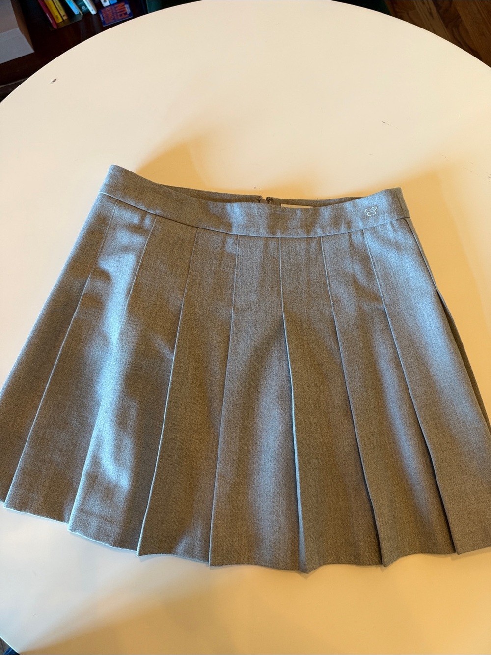 Aritzia Gray Pleated Mini Skirt